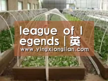 环境展示五