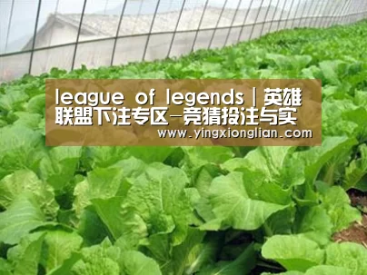 种植基地一