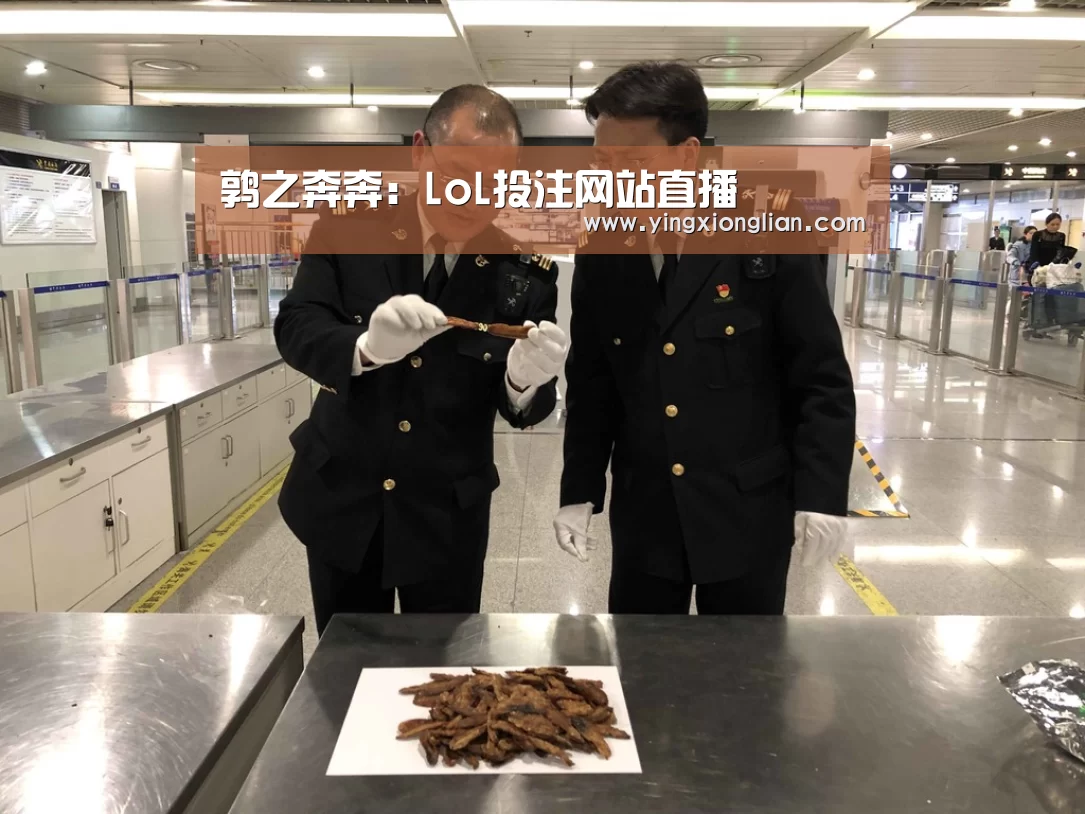 鹑之奔奔:LoL投注网站直播(图3) LoL投注网站 | 2026年最佳英雄联盟投注网站