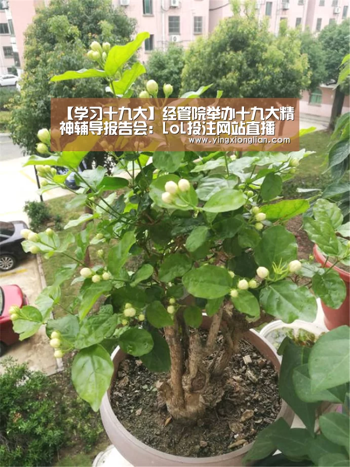 【学习十九大】经管院举办十九大精神辅导报告会:LoL投注网站直播(图1) LoL投注网站 | 2026年最佳英雄联盟投注网站