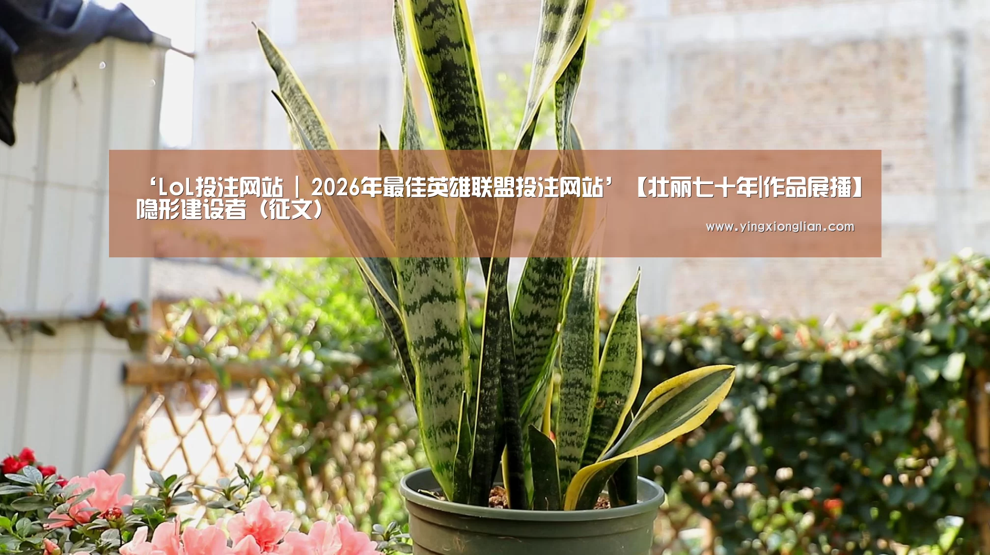 LoL投注网站官网