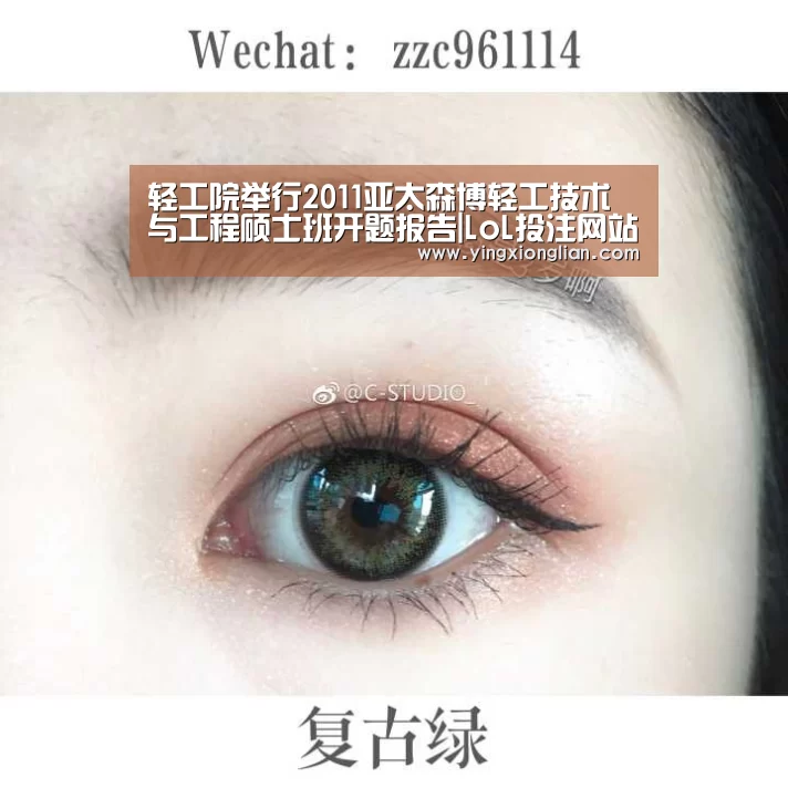 轻工院举行2011亚太森博轻工技术与工程硕士班开题报告|LoL投注网站官网(图2) LoL投注网站直播