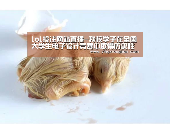 LoL投注网站直播-我校学子在全国大学生电子设计竞赛中取得历史性突破(图3) 2026年最佳英雄联盟投注网站