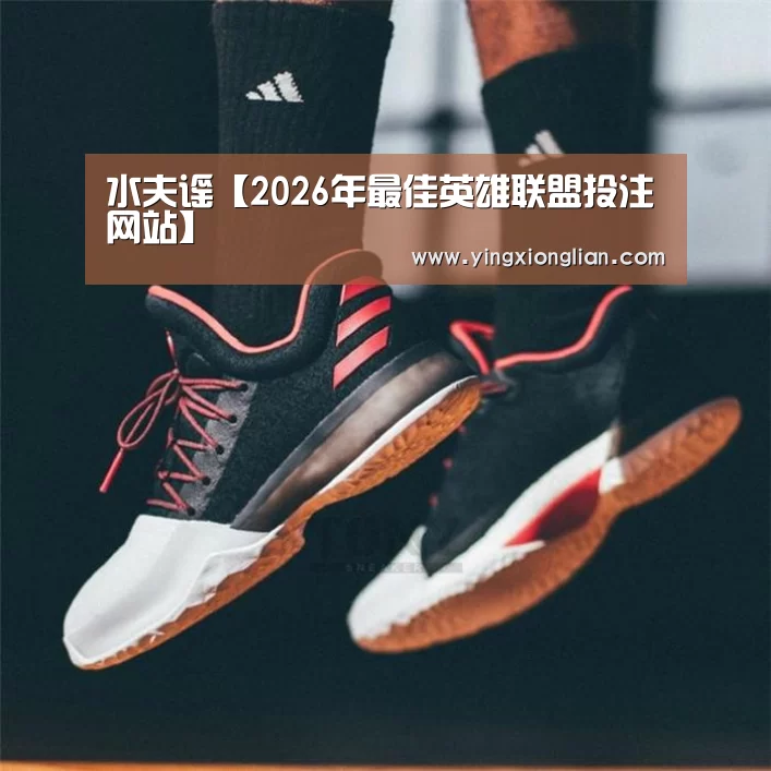 LoL投注网站直播