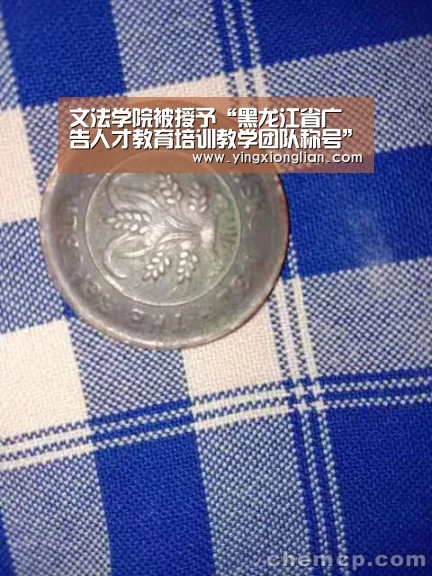 文法学院被授予“黑龙江省广告人才教育培训教学团队称号”_2026年最佳英雄联盟投注网站(图2) LoL投注网站直播