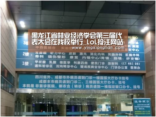 LoL投注网站 | 2026年最佳英雄联盟投注网站