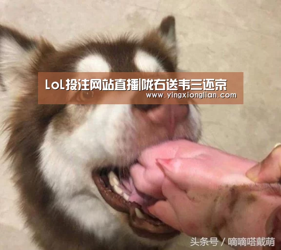 LoL投注网站直播|陇右送韦三还京(图3) LoL投注网站直播