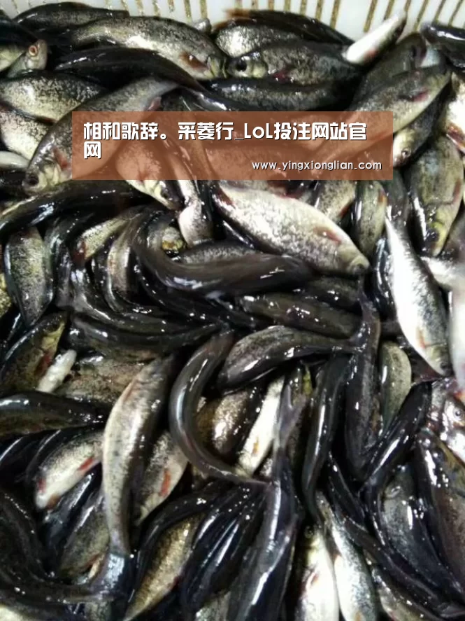 相和歌辞。采菱行_LoL投注网站官网(图1) LoL投注网站直播