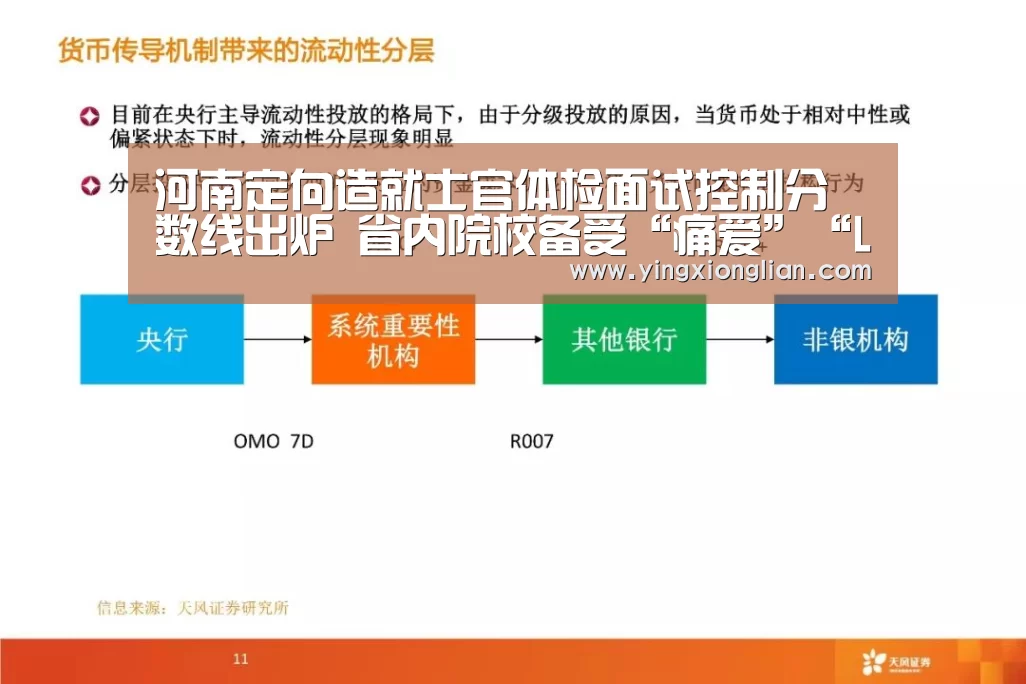LoL投注网站直播