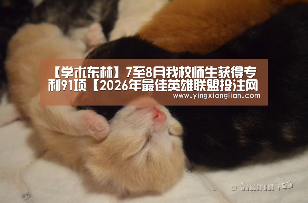 【学术东林】7至8月我校师生获得专利91项【2026年最佳英雄联盟投注网站】(图1) 2026年最佳英雄联盟投注网站